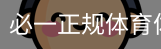 必一正规体育体系